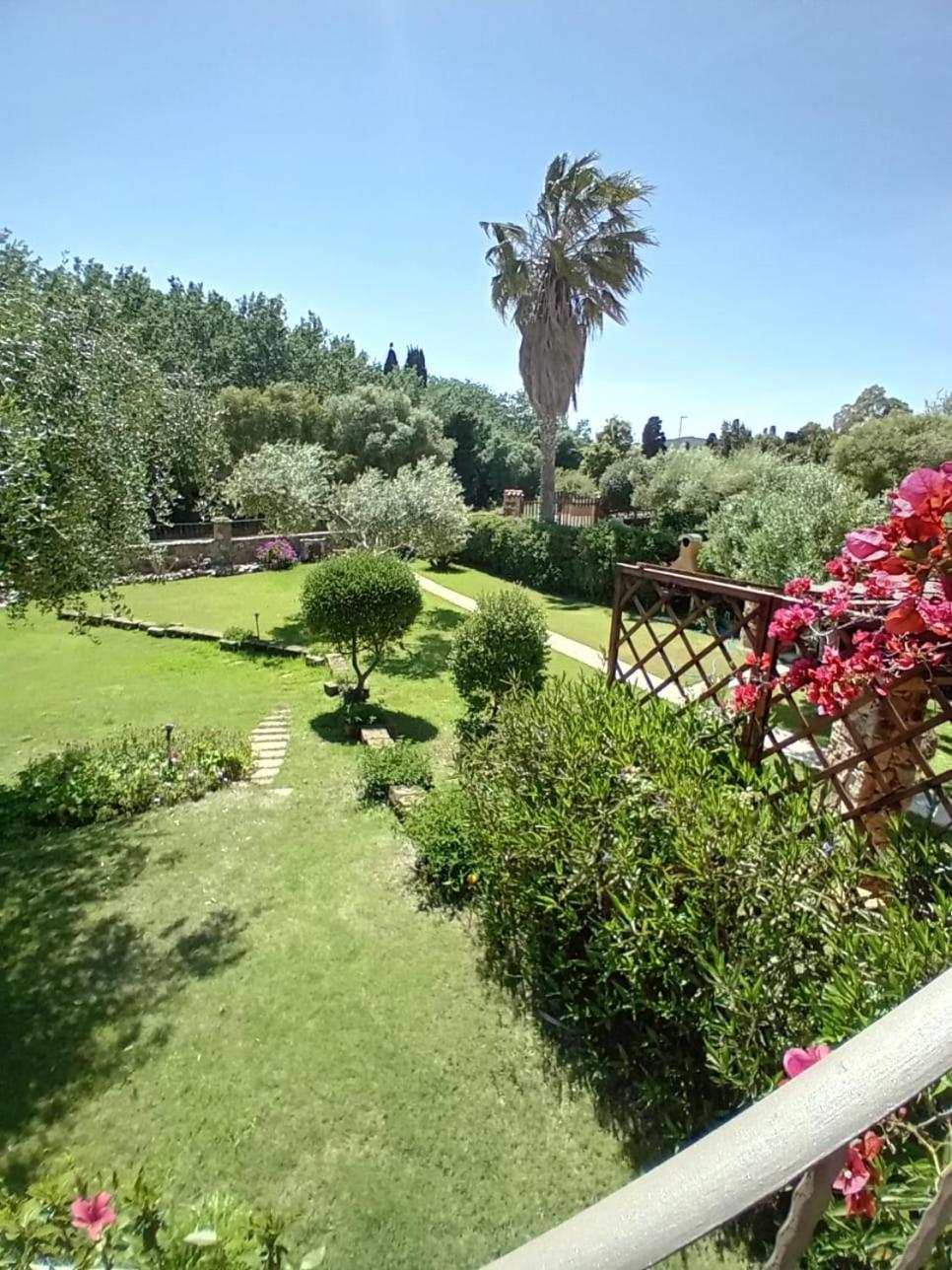 Villa Mediterraneo شيا المظهر الخارجي الصورة